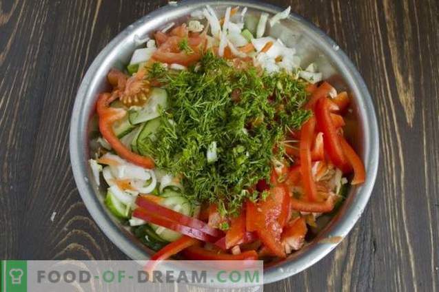 Salată de varză pentru iarnă cu castraveți și roșii