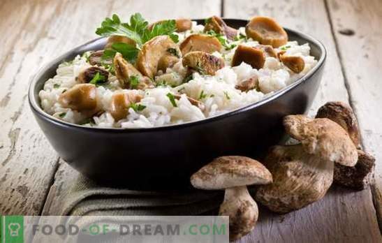 Risotto cu ciuperci - secretele și subtilitățile de preparare a mâncărurilor italiene. Retete pentru risotto delicios de ciuperci