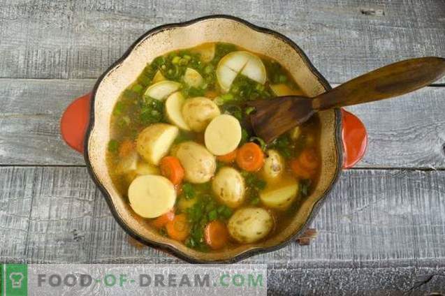 Supă de gulă de pui cu cartofi noi și ceapă verde