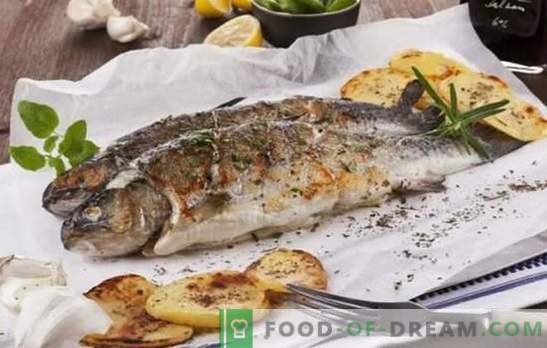 Prindeți pește, totul este delicios pe grătar! Rețete de pește și apă râu: ajutor culinar pentru pescarii și iubitorii de pești deliciosi