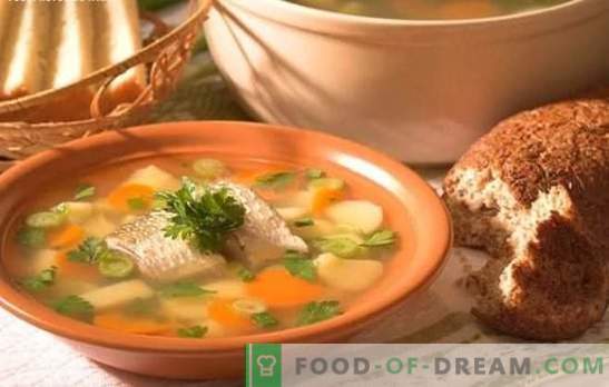Supă de pește - supă delicioasă la domiciliu. Cum să gătești urechea de la biban: secretele, rețetele, sfaturi
