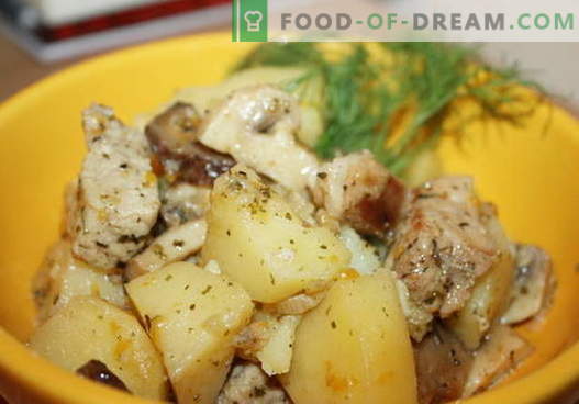Gestoofde aardappelen met kip - de beste recepten. Hoe goed en smakelijk koken stoofpot aardappelen met kip.