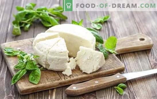 Brânza de lapte acru este un produs natural de lapte. Variante de fabricare a brânzei de la iaurt la domiciliu