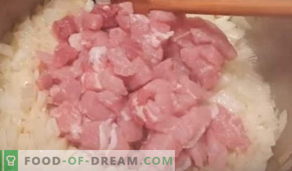 Bigus cu varză proaspătă, rețete cu carne, carne de porc, pui, carne tocată, cârnați, într-un aragaz lent