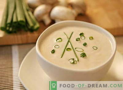 Supă de cremă - cele mai bune rețete. Cum să procedați corect și să gătiți supă de cremă.