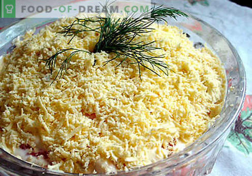 Salată cu brânză topită - o selecție de cele mai bune rețete. Cum să salată bine pregătită și gustoasă cu brânză topită.