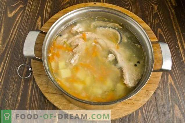 Supa de pește de somon