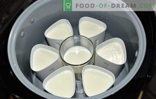 Iaurtul într-un vas în borcane este o delicatesă sănătoasă și gustoasă. Soiurile de iaurt din multicooker în borcane