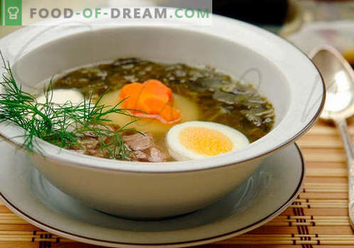 Supa Sorrel - Retete dovedite. Cum să gătești în mod corespunzător și gustos supă de ceai.