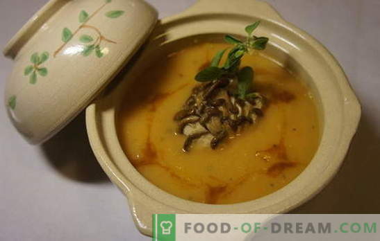 Supă de stridii - cele mai bune rețete ale autorului. Gatit supe de ciuperci de ciuperci: cu fidea, brânză, ouă, găluște, inimă, cereale, linte
