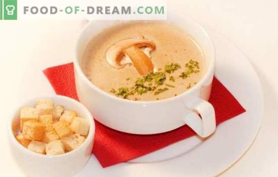 Pureu de supă de ciuperci - o versiune delicată a felului tău preferat. Cele mai bune retete de supa de crema de ciuperci: crema, brânză, orez, brandy, creveți