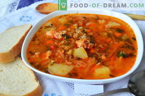 Supă Kharcho - cele mai bune rețete. Cum să gătești în mod corespunzător și gustos supa kharcho.