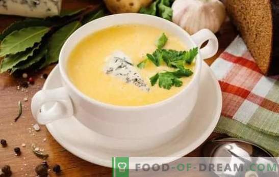 Supă de brânză într-o rețetă pas cu pas din brânză topită și brânză tare. Rețete pentru supă de brânză cu legume, pui, orez, smântână