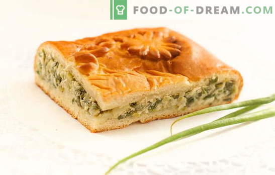 Plată de ceapă verde pe iaurt - delicioase prăjituri de casă. Rețete pentru plăcinte cu ceapă verde pe iaurt în cuptor și multicooker