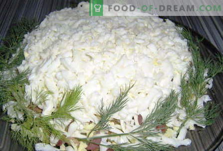 Salate albe - cele mai bune rețete. Cum să gătești în mod corect și delicios salată albă.