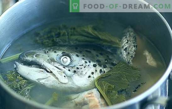 Supa de capete de pește - rețete și subtilități de gătit. Sucuri de pește cu orez, mei, legume
