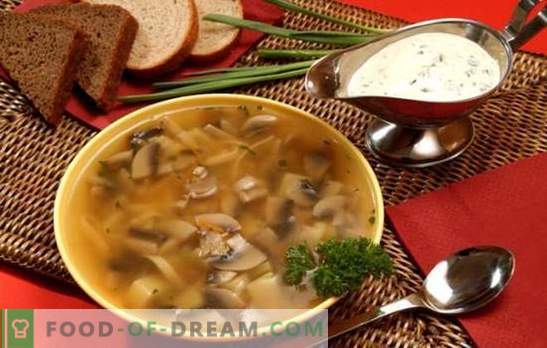 Supă de ciupercă într-un aragaz lent - pentru cei care apreciază mâncăruri delicioase. Gătirea rapidă, satisfăcătoare și supe gustoase de ciuperci într-un aragaz lent fără hassle