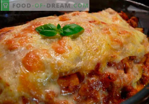 Lasagna clasică - rețetele potrivite. Cum să gătești rapid și gustos clasic lasagna.
