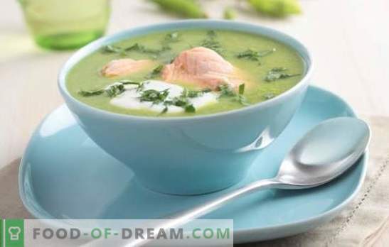 Supă de pește din chum - util, simplu, gustos. Cele mai bune retete de supa keta (din cap, coada, aripioare) pentru fiecare gust: cu grits si porumb
