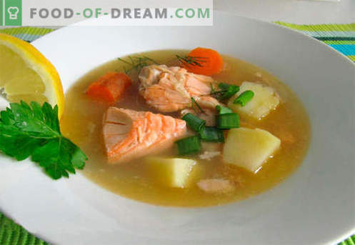 Supă de somon - cele mai bune rețete. Cum să gătești supa de somon corect și gustos.