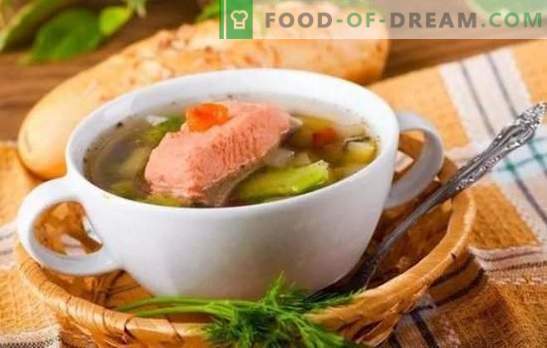 Supă de pește de păstrăv: beneficii corporale și gust impecabil pe aceeași placă. Cele mai bune retete pentru supa de pastrav