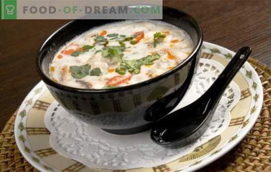 Supa de lapte de nucă de cocos este un joc de gust! Rețete pentru supe diferite cu lapte de cocos pentru un meniu exotic
