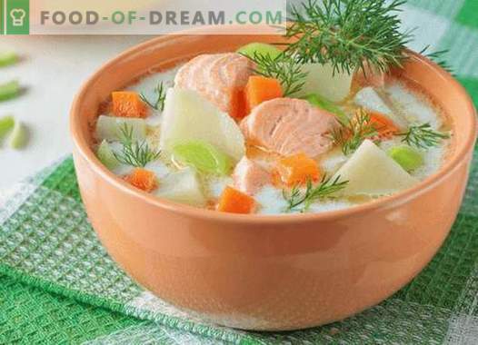 Supă de somon - cele mai bune rețete. Cum să gătești supa de somon corect și gustos.