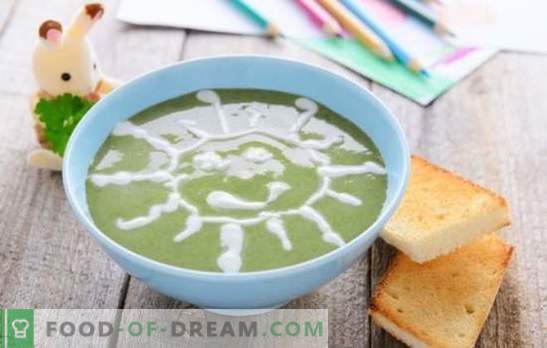 Soep-puree voor kinderen - gerechten uit het ruimmenu! Een selectie van verschillende soepen voor kinderen met granen, groenten, vlees