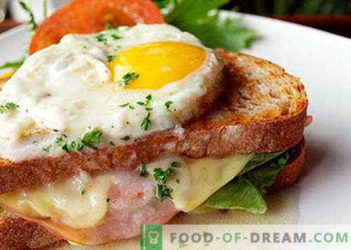 Sandvișurile fierbinți cu cârnați, brânză, ou, roșii sunt cele mai bune rețete. Cum să gătiți sandvișuri fierbinți în cuptor, în tigaie și în cuptorul cu microunde.