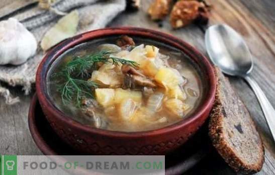 Supă de varză cu ciuperci: tradițională și originală. Secretele de supa de varza cu ciuperci, hrisca, fasole, orz de perle