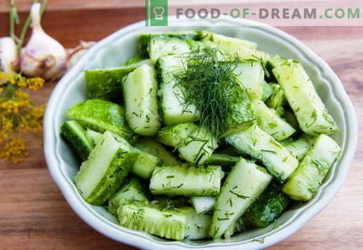Salata de castravete - cele mai bune retete. Cum să gătești corect și gustos să gătești salate de castravete.