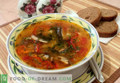 Supe de șrot de tomate - rețete dovedite. Cum să gătești în mod adecvat și delicios supa de șrot de tomate.