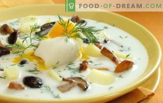 Supă de ciuperci - este simplu și util! Cele mai simple retete pentru supa din ciuperci: cu carne, cereale, oale, muraturi si halate