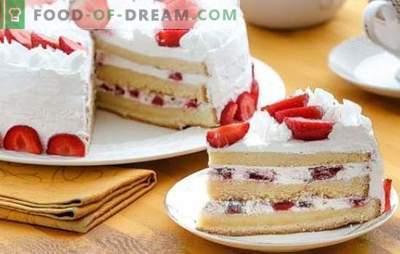 Biscuit Cake Cream: The Best Recipes. Choose a recipe for biscuit cake and give your dessert a unique taste!