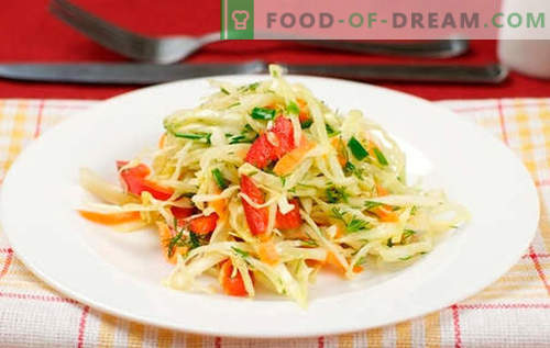 Salata de varza cu ardei grasi - cele mai bune retete. Preparați o salată cu varză și piper dulce.