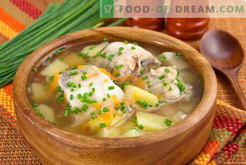 Supa de pește - cele mai bune rețete. Cum să gătești în mod corespunzător și gustos supă de pește.