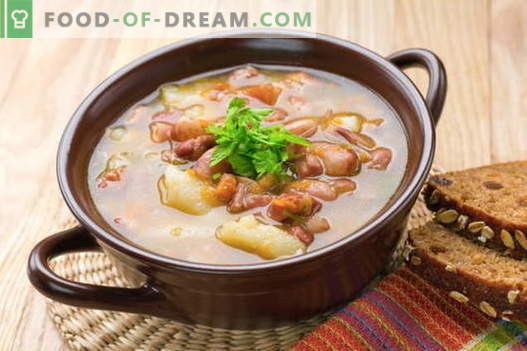 Sopa de cerdo - las mejores recetas. Cómo cocinar adecuadamente y sabrosa la sopa de cerdo.