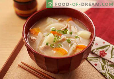 Supa de soia - Retete dovedite. Cum să gătești în mod corespunzător și gustos supă de soia.