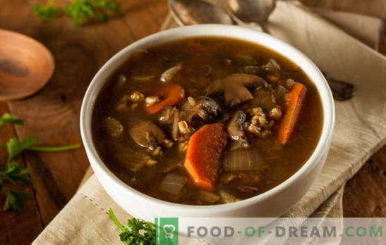 Supă cu ciuperci - permiteți-i să fie întotdeauna delicioasă! Diverse rețete pentru supe slabe cu ciuperci și cereale, tăiței, legume