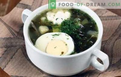 Zuppa verde - carica di vitamine e gusto brillante! Ricette di varie zuppe verdi con acetosella e con cavolo, funghi, pesce, ortiche, fagioli