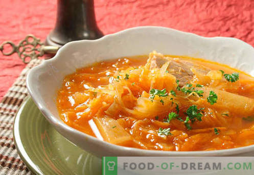 Supă de varză proaspătă și savuroasă. Cum să gatiți în mod corespunzător și gustos acru, verde, supa macră într-un aragaz lent.