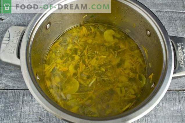 Fresh cabbage soup with chicken and lettuce