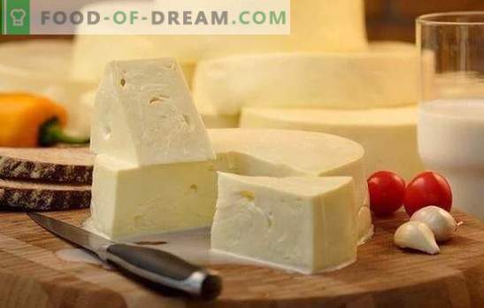 Cum să gătești rapid suluguni la domiciliu: rețeta pentru brânza albă. Gătit brânză blândă suluguni la domiciliu