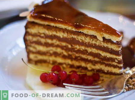 Tort de la tort - cele mai bune rețete. Cum să faci bine și gustos să faci un tort de la tort.