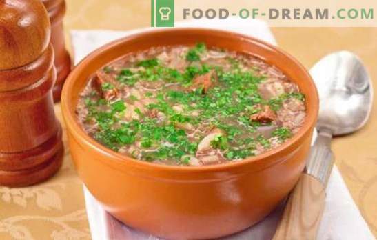 Supă Kharcho clasică - rețete interesante. Supa de gătit-kharcho clasică de carne de vită, miel, carne de porc