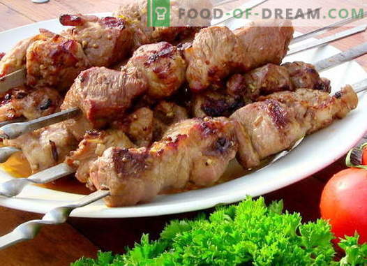 Kebab de carne de vită - cele mai bune rețete. Cum să gătești în mod corect și gustos kebab de carne de vită.