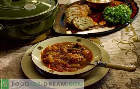 Supă zilnică - gătiți conform rețetelor vechi! Tehnologia de gătit, ingredientele și variațiile variate ale subzistenței zilnice