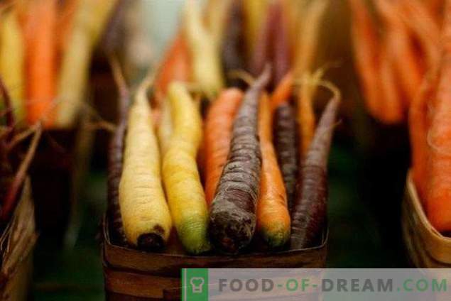 Proprietăți utile ale morcovilor