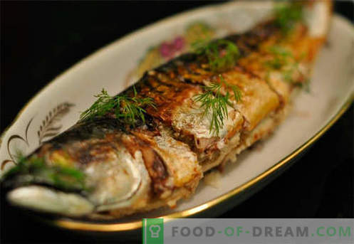 Pildītas makreles - labākās receptes. Kā pareizi un garšīgi gatavot makreles.