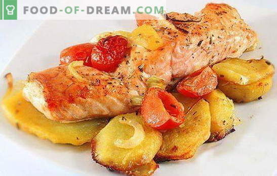 Pește roșu cu cartofi - o combinație de nobilime și simplitate. Rețete pentru pește roșu cu cartofi: în folie, cuptor, într-o tavă